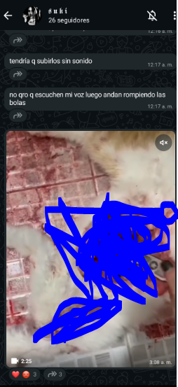 nuezqw55's tweet photo. DIFUNDAN!!!, Esta chica que ven aca  junto con su novio se ha creado un canal(ya baneado) y grupo de whatsapp donde compartieron videos maltra**ndo y desmemb**ndo VIVOS a gatitos. Al parecer amiga de Cheri (del caso Dexx) #viralㅤㅤ #NoAlAbusoAnimal #AnimalProtectionLaw https://t.co/dBUkmGBT5B