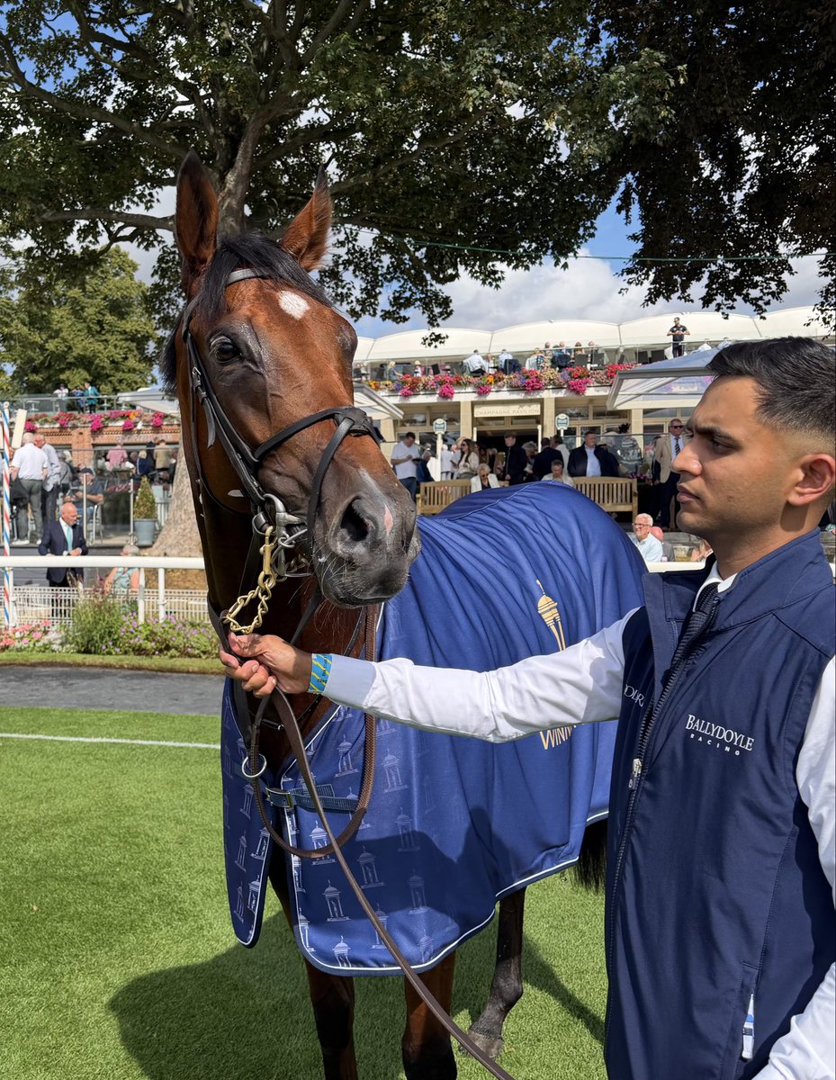 BuckleyKevin's tweet photo. Haffner by Justify @coolmoreamerica winner of the G3 @Tattersalls1766 Acomb Stakes @yorkracecourse https://t.co/kSiyTPmnVn