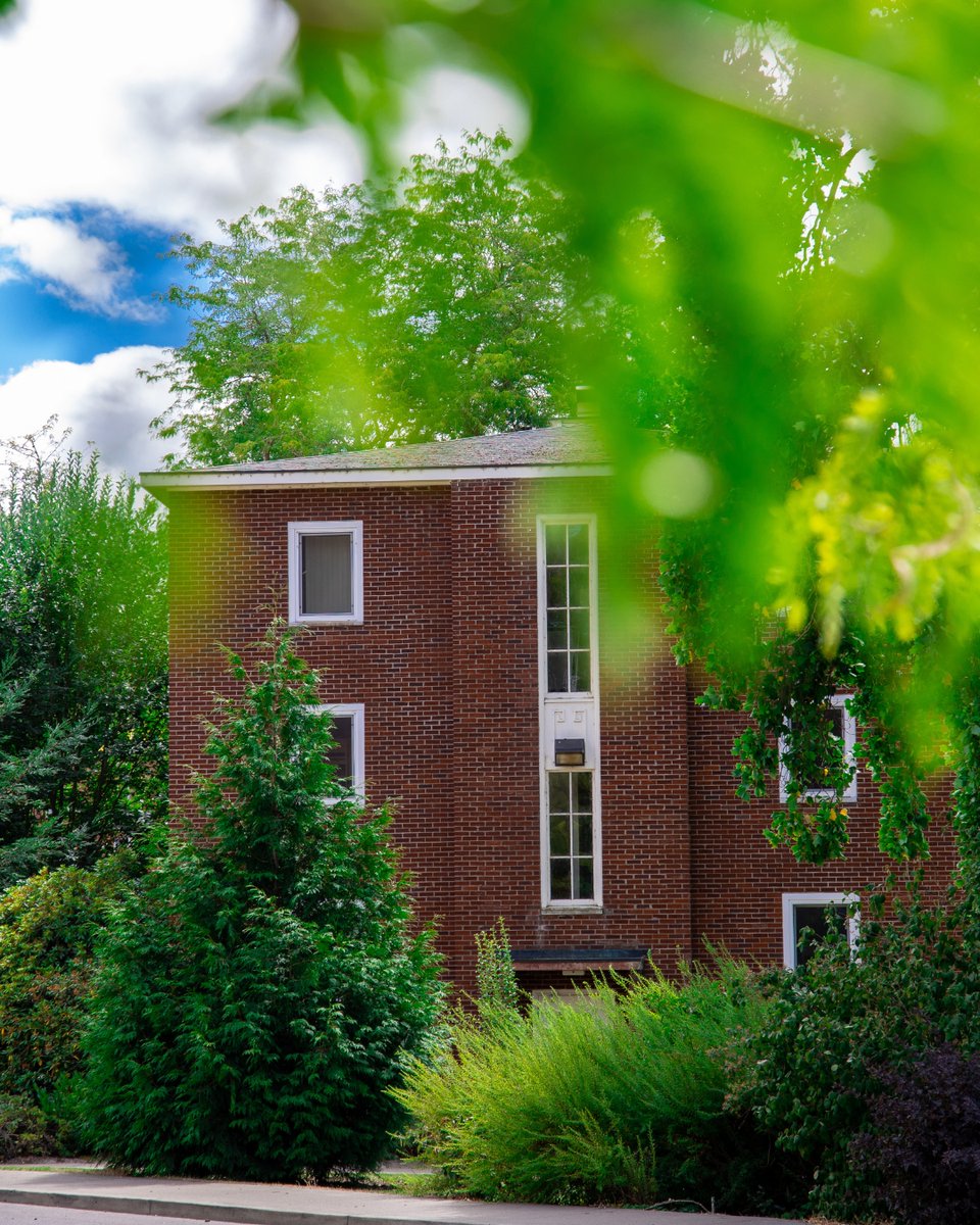 OregonState's tweet photo. Tree-mendous views all around 🍃

#OregonState https://t.co/A2Ki0EerMY