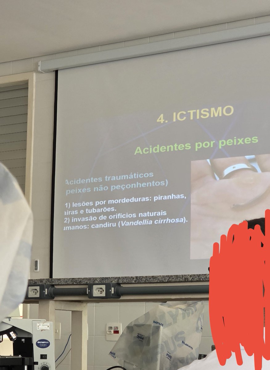 leozenemes's tweet photo. Licença professor, essa aula eu dou https://t.co/Vh3pvp1bzY