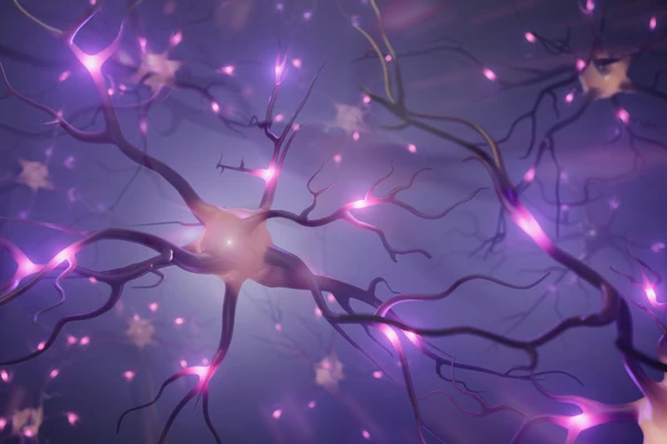 NightSkyToday's tweet photo. INTERESTING🚨: Every time you express gratitude, your brain physically rewrites itself, making you naturally more positive and resilient, neurology says. https://t.co/ZCXQ3rOlpH