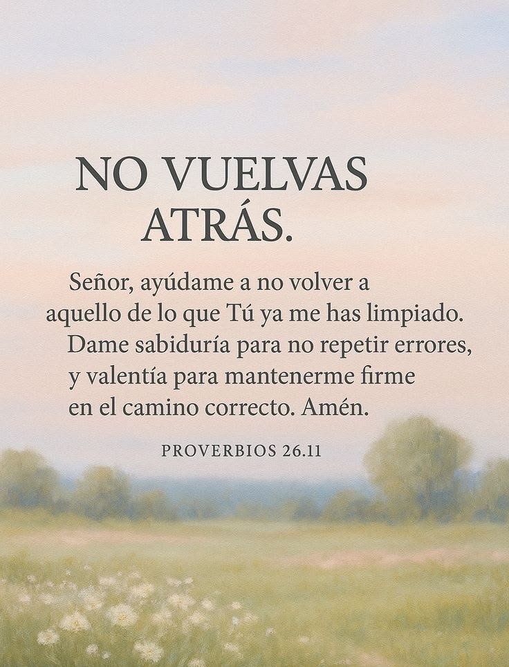 Contexto_Visual's tweet photo. PROVERBIOS  26:11 https://t.co/4munjKwYpP