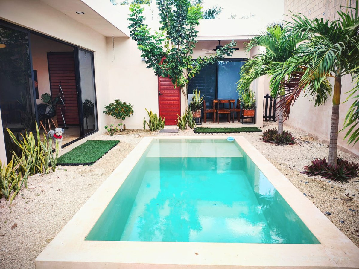 janeiroinmo's tweet photo. 🚨 ¡BAJÓ DE PRECIO EN CHOLUL, MÉRIDA! 📉💰 De ~~$3.95M~~ a $3.8M MXN 🏡
Casa de 1 planta, equipada, amueblada, con alberca y paneles solares ☀️🏊‍♂️ 📍 2 Recámaras | 3 Baños

📲 Compradores: ¡Soliciten ficha técnica! 🤝 Asesores: 4% de comisión directa. ¡Promuévanla hoy!
#Merida https://t.co/iQX162m52Z