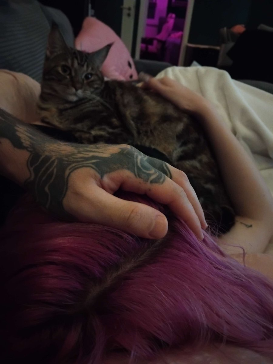Raviel97's tweet photo. Meine Schätze ❤️ https://t.co/klPZZQPMg3