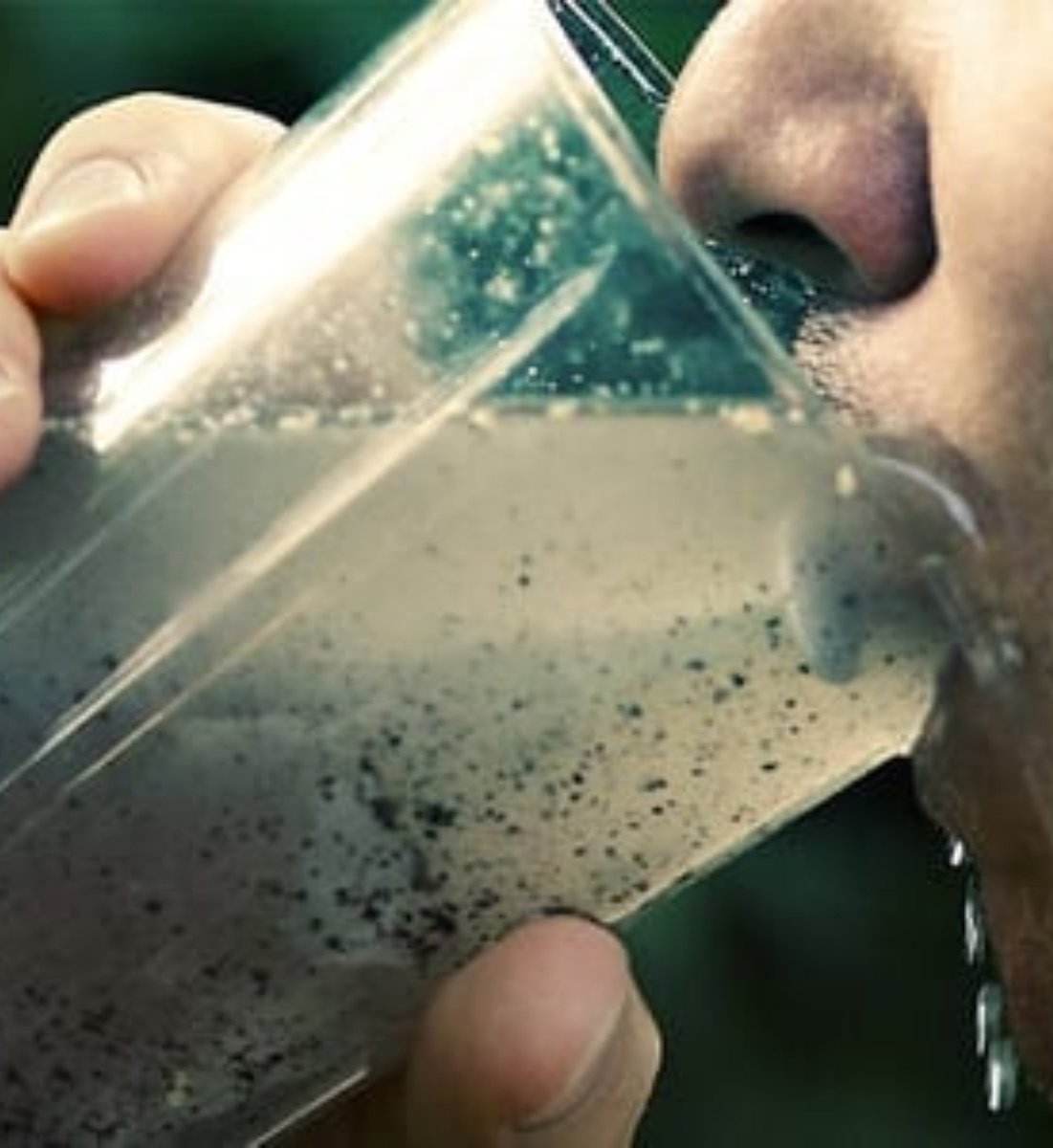 BadgerStew's tweet photo. Toxic Tom Tiffany is what a glass of filthy water would look like if it was a person. #FTTT https://t.co/gOfobsOnd2