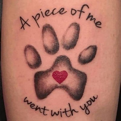 Sabrinahound12's tweet photo. Dog lady 🐾🐕 https://t.co/6FkrsAI0dy