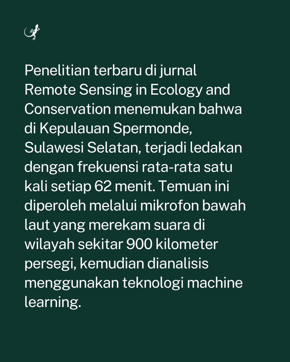 MongabayID's tweet photo. Terumbu karang di kawasan Indo-Pasifik menghadapi ancaman serius dari praktik penangkapan ikan menggunakan bom atau blast fishing. https://t.co/MKu8WOJhBN