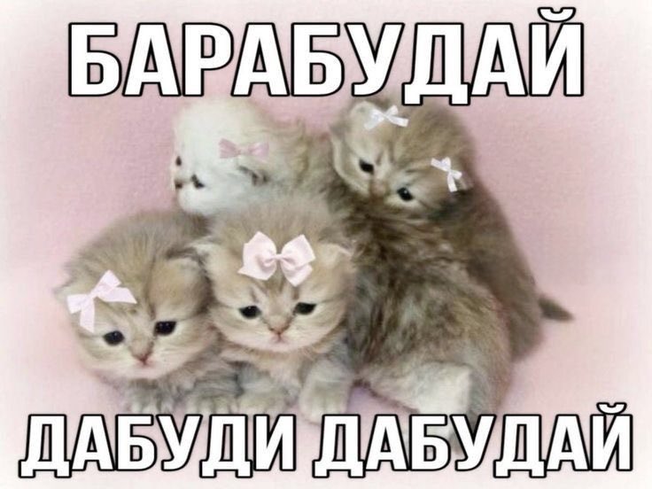 lullmane's tweet photo. мне так нравится, когда мне оставляют комменты😭 
я обожаю их читать
я сейчас заплачу от радости https://t.co/f6xDWRHyNJ