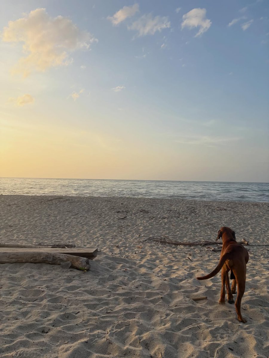 GiaFerrera_'s tweet photo. I ask for nothing else. 🌊 https://t.co/lTAHH36bBt