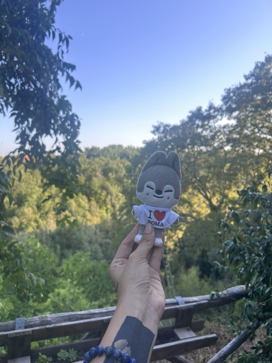 gnabmimi's tweet photo. wolfchan having fun in tuscany 🤏🏼 https://t.co/qvbaA1luKM