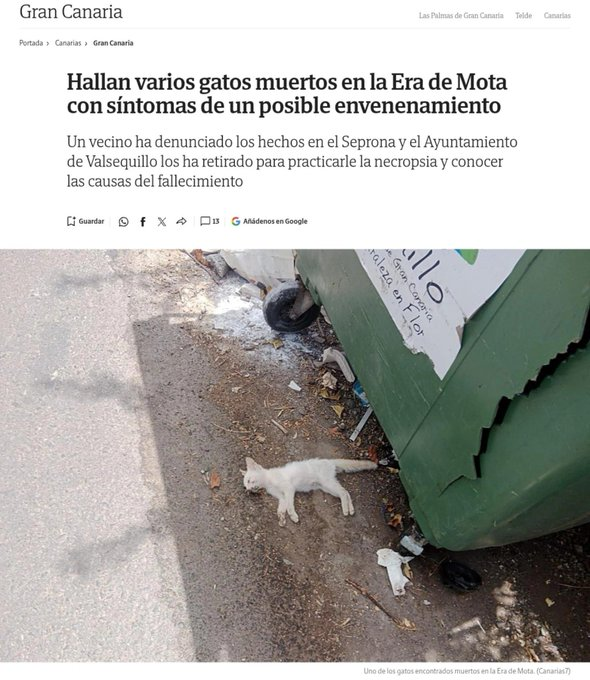 SAENIVS's tweet photo. @ORamosBets @gaceta_es @unaicano10 Que todos los buleros intoxicadores de extrema derecha? Si, tu incluido https://t.co/5Lg6vk9Qro