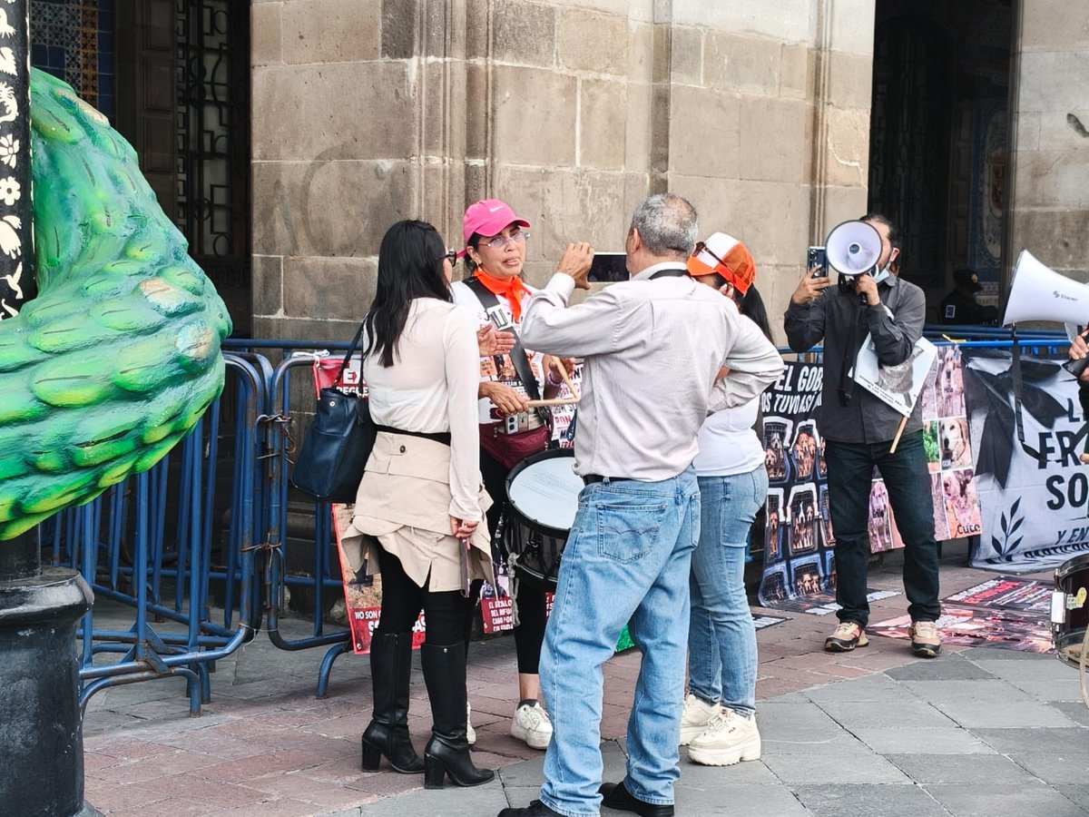 israellorenzana's tweet photo. #ÚLTIMO Un grupo de manifestantes en favor del refugio de perritos y gatos franciscanitos se manifiestan en la plancha del zócalo capitalino desde donde piden justicia para los #franciscanitos y que regresen al refugio !! Con pancartas y lonas esperan ser atendidos por las autoridades #CDMX @Ref_Franciscano