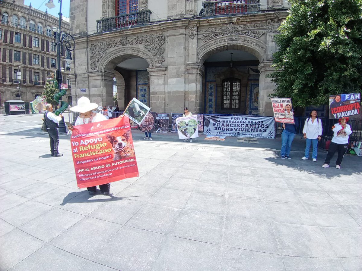 israellorenzana's tweet photo. #ÚLTIMO Un grupo de manifestantes en favor del refugio de perritos y gatos franciscanitos se manifiestan en la plancha del zócalo capitalino desde donde piden justicia para los #franciscanitos y que regresen al refugio !! Con pancartas y lonas esperan ser atendidos por las autoridades #CDMX @Ref_Franciscano