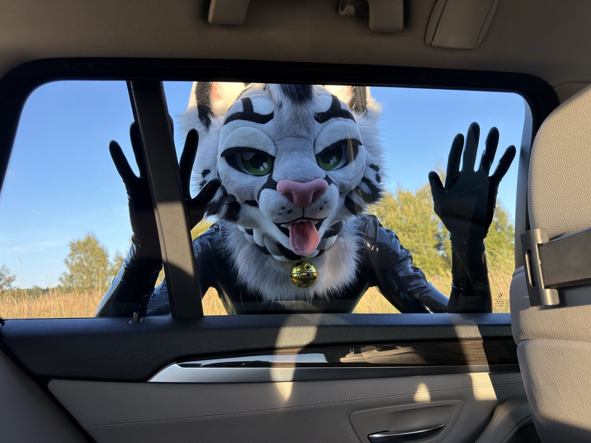 tuftedkpawzzz's tweet photo. LET ME IIIIIINNNNNN https://t.co/nprvQRz2n5