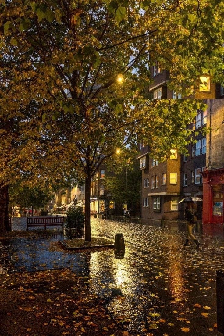 spooky_nature's tweet photo. London after autumn rain 🍂🌧️ https://t.co/WpsSjDKx8j