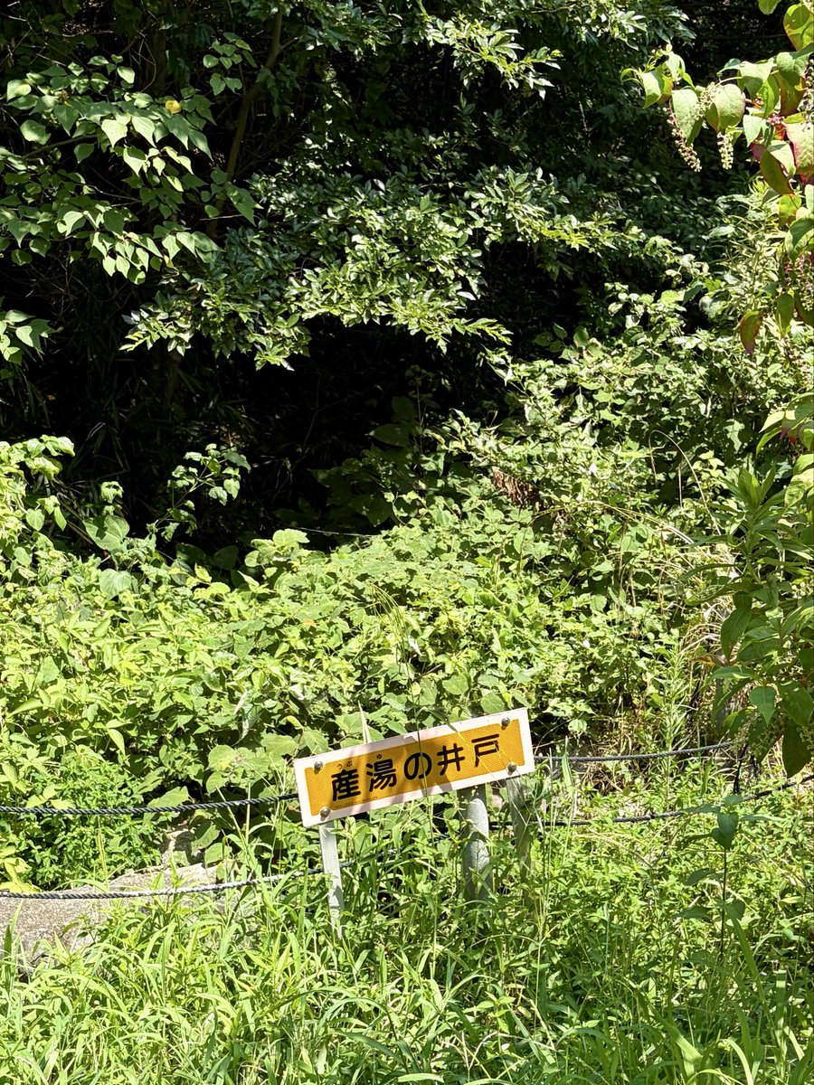 gassyou2's tweet photo. 大原神社
奈良県高市郡明日香村

大化の改新の立役者 藤原鎌足の生誕地と伝えられる地に鎮座している神社です

小さな神社ですが 長い間日本の歴史を動かした藤原家の祖がこの場所で誕生したということに思いを馳せながら参拝してきました

境内を降りたところにある産湯の井戸は草に覆われていました https://t.co/tPU0lQaFGY