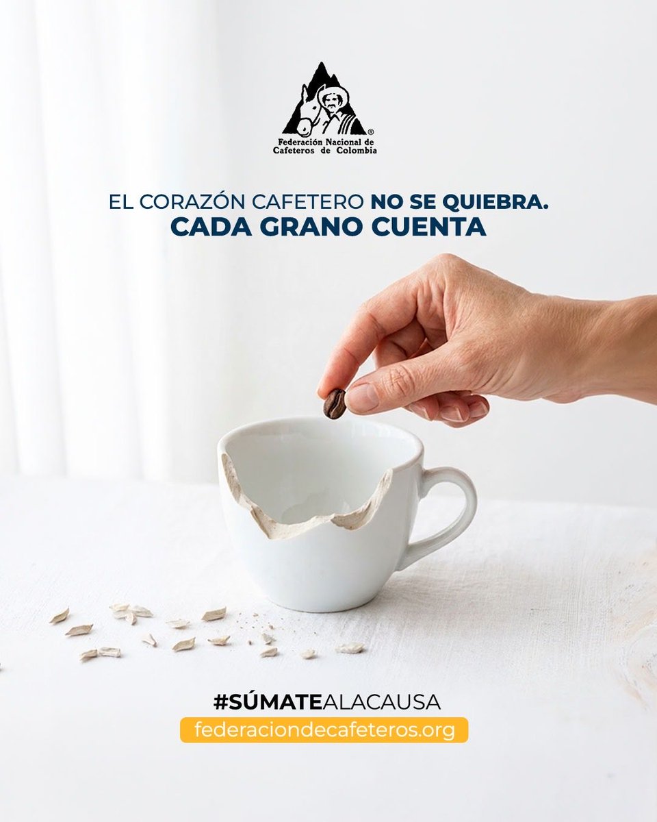 FedeCafeteros's tweet photo. #SúmateALaCausa | ☕🇨🇴❤️ El corazón cafetero no se quiebra cuando elegimos cuidarnos entre todos. Aunque los días difíciles oscurezcan el horizonte, el amor por lo nuestro tiene la fuerza de hacer florecer hasta la tierra más golpeada.

¡Súmate a la causa! 🙌🏻 Juntos, con la fuerza y la solidaridad que nos caracteriza como colombianos, saldremos adelante. 🇨🇴

🔗 https://t.co/xGhfRpf4TA