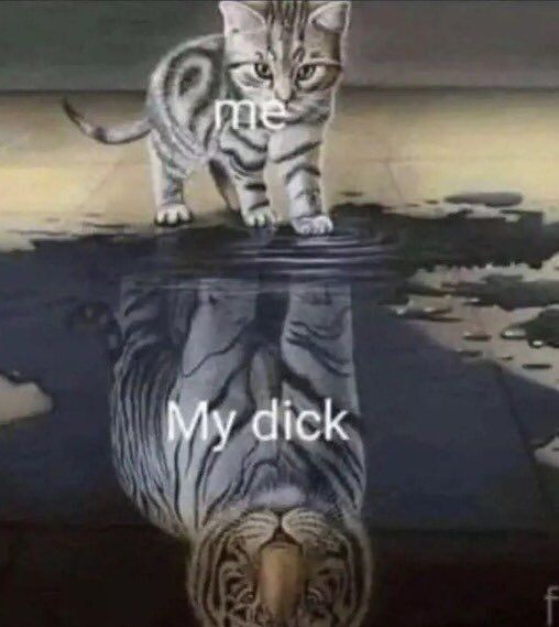 memesdogaga's tweet photo. https://t.co/pXk8I8H7Et