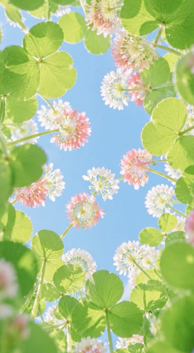 granddays_psy2's tweet photo. おはようございます☕🌿

お互いさま。

自分ができることもあれば
できないこともあります

誰かに助けてもらう日もあれば
誰かの力になれる日もあります

人は誰も完璧じゃないからこそ
支え合えるのでしょう

さぁ〜口角あげて
今日を微笑っていきましょうか

(^^)ｺｺﾛ💕

皆様💐素敵な１日を🍀🕊️ https://t.co/LVEEDxEtkk
