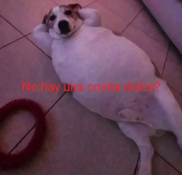 julianerou_'s tweet photo. @TaladroDeRicky trabajar presencial be like https://t.co/JK5y0wnGAP