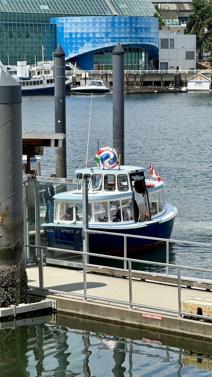 muffinjai's tweet photo. We are back at the gorgeous False Creek waterfront in Olympic Village for a midday lunch walk, and I am cutting quite a figure in my official Adidas jacket and designer LV leather collar. 🤩 #WednesdayWisdom #OlympicVillage #FalseCreekFerries #SchnauzerLife #VancouverSummer https://t.co/6Mi8XT8Q3S