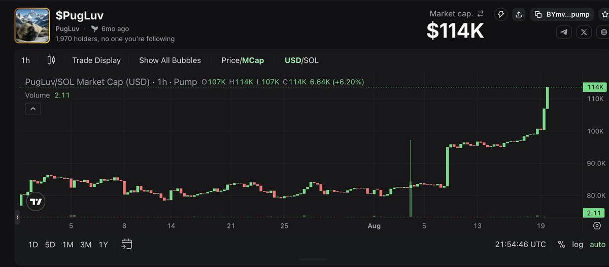 Pudgy_XD's tweet photo. From a memecoin standpoint, $PugLuv did solid today.

It's LP is 100% $SOL so it makes sense it would go up.
No one sold, as they haven't in 6 months +

Nearing 2000 unique holders
@PugLuv_NFT looks solid, and provides monthly dividends
https://t.co/6f22IbEaqp is in beta!

CA : BYmvJkpWno7VxaRqeHYXCijsmsgQC5C6UzG5PbpDpump