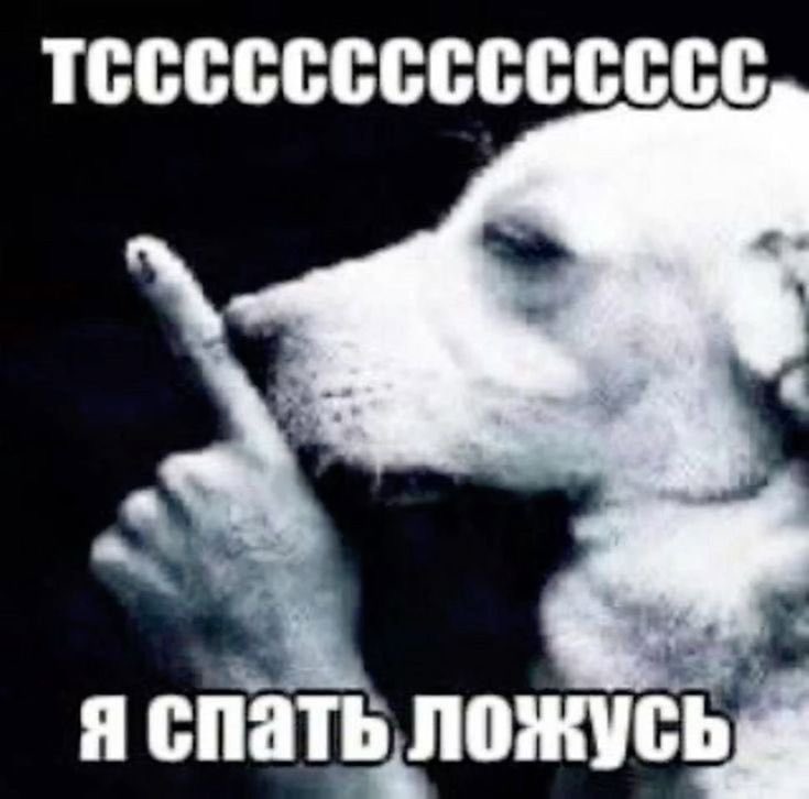 ys_lee5's tweet photo. Я все таки спать пойду, мне в 7:00 просыпаться (время 3:05) https://t.co/PBmMuDUZaM