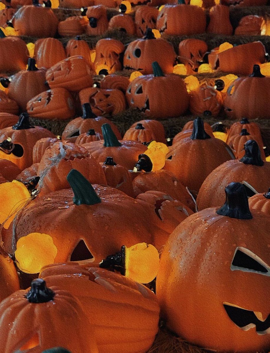 pure_502's tweet photo. [As autumn leaves drift, here’s a cozy Halloween wish—may your candy stash be full and your spooky vibes stay warm! ] https://t.co/Shy0rR2pu4