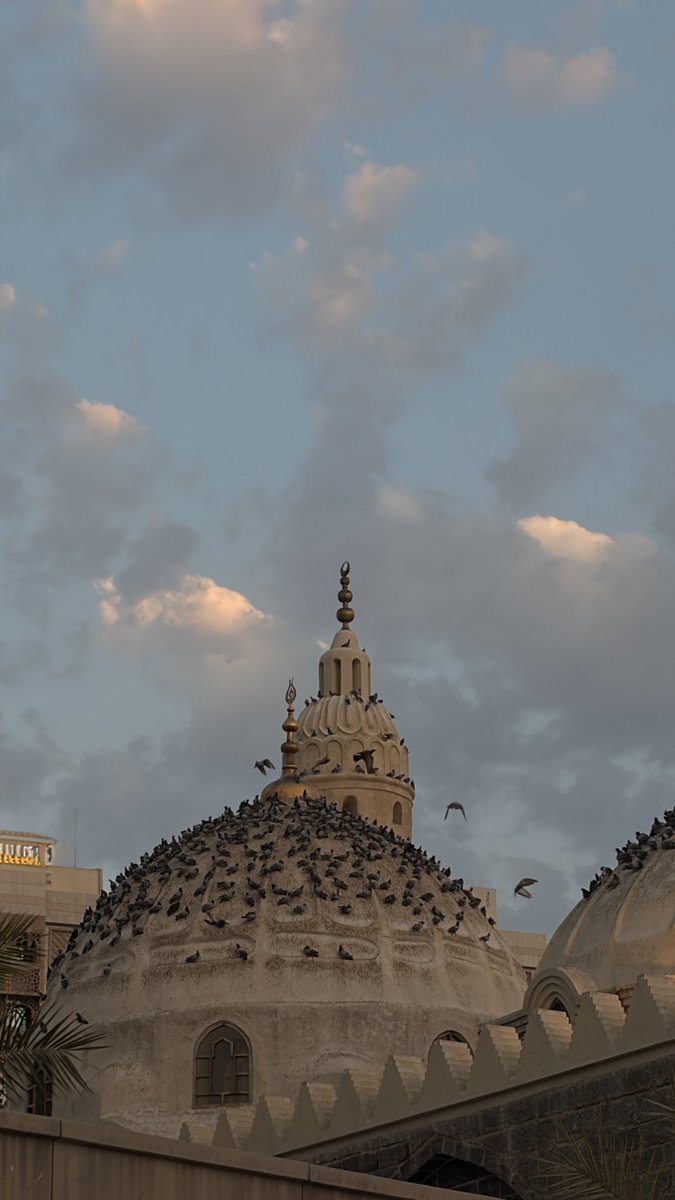 zoiF0_08's tweet photo. @Ninjaappksa #نينجا_عند_الباب https://t.co/48tveZBDcZ