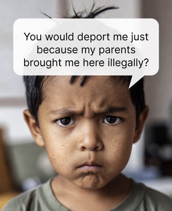AntiWokeMemes's tweet photo. What does the law say?

A. DEPORT
B. NO https://t.co/tgeZemwCpf