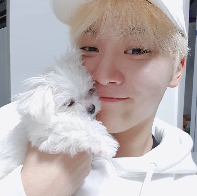 sweetywonwoo_'s tweet photo. today is bookkeu’s birthday 🫶🏻 and remember when bookkeu met seungkwan and vernon for the first time 😭 i’m in shambles.... https://t.co/TdQe2sB3lD