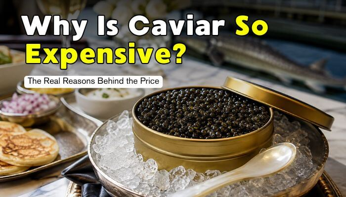 kavithakavi77's tweet photo. Caviar costs more because sturgeon take years to mature.

Limited supply and expert production keep prices high.

https://t.co/K0Y7PEeIPV

#caviar #luxuryfood @tsarnicoulai @SterlingCaviar https://t.co/48mv69fC0b