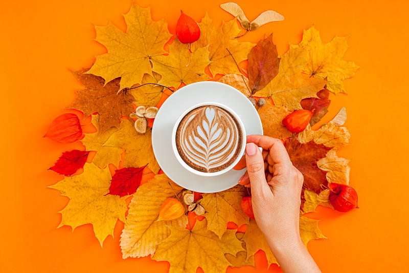 ookoollollo's tweet photo. Fresh autumn air, cozy latte in hand, and golden leaves falling—perfect start to a crisp weekend https://t.co/ufDnYkjnVh