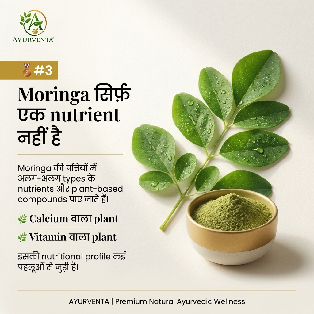Ayurventa's tweet photo. 🌿 3 Moringa facts to know:

① Nutrient-rich with a diverse profile
② A source of plant-based fiber
③ Best as part of a balanced, varied diet not a replacement for whole foods.
🌱 Balance, variety &amp; consistency over hype. 
#AyurVenta #RajeevSaini #Moringa #AyurventaMoringa https://t.co/WtxdkYRE1H