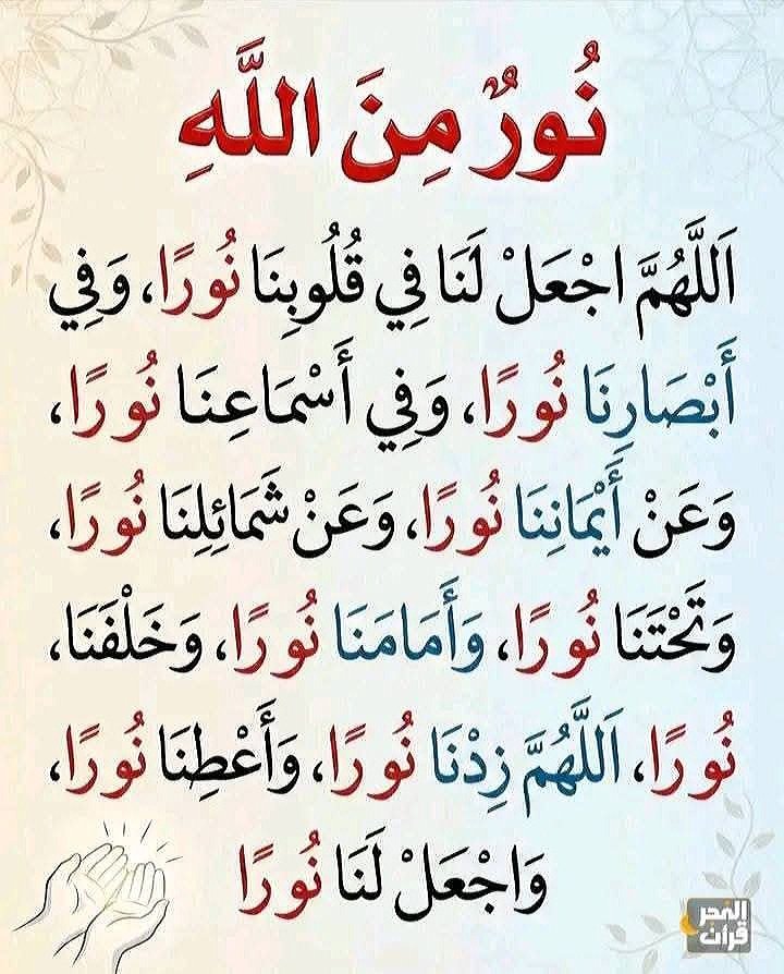 Basmat_Khair67's tweet photo. نور الله https://t.co/O1z36hPJSX