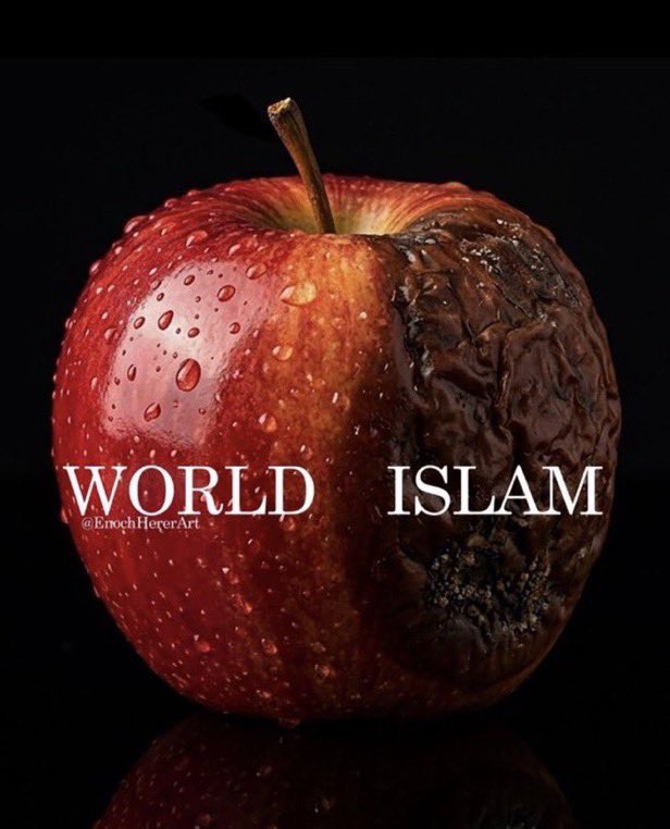 TheDemSlayer's tweet photo. Islam is the ROT of our world. https://t.co/apMmT7A2xc
