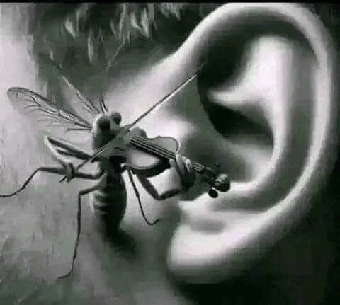 PopBase's tweet photo. Today is World Mosquito Day. https://t.co/55UKRrjFt8