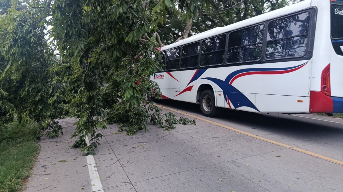 AESElSalvador's tweet photo. #AESInforma que en la 11a. Avenida Norte, Santa Ana, calle hacia Metapán, un árbol cayó y dañó infraestructura eléctrica y ha bloqueado ambos carriles de dicha arteria. Nuestros equipos técnicos de #AESCLESA ya se encuentran ejecutando los trabajos necesarios. Solicitamos a la población tomar nota de la carga vehicular en la zona.