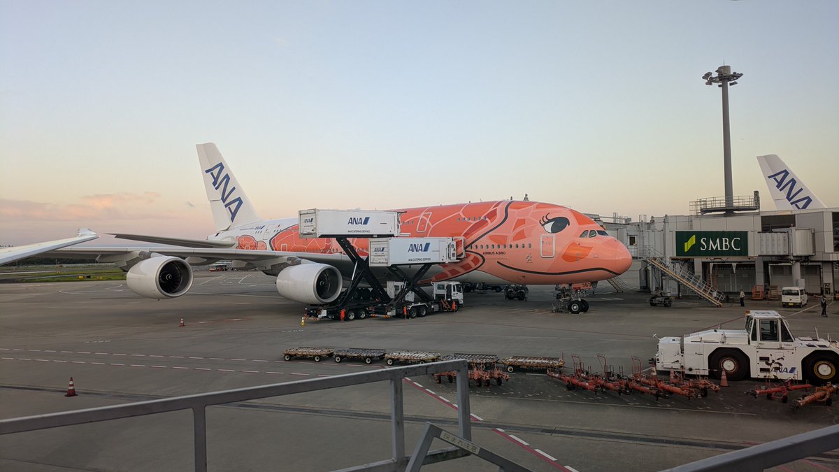 tomatomama777's tweet photo. 成田空港にラーちゃんいた https://t.co/tWpx46ZKtr