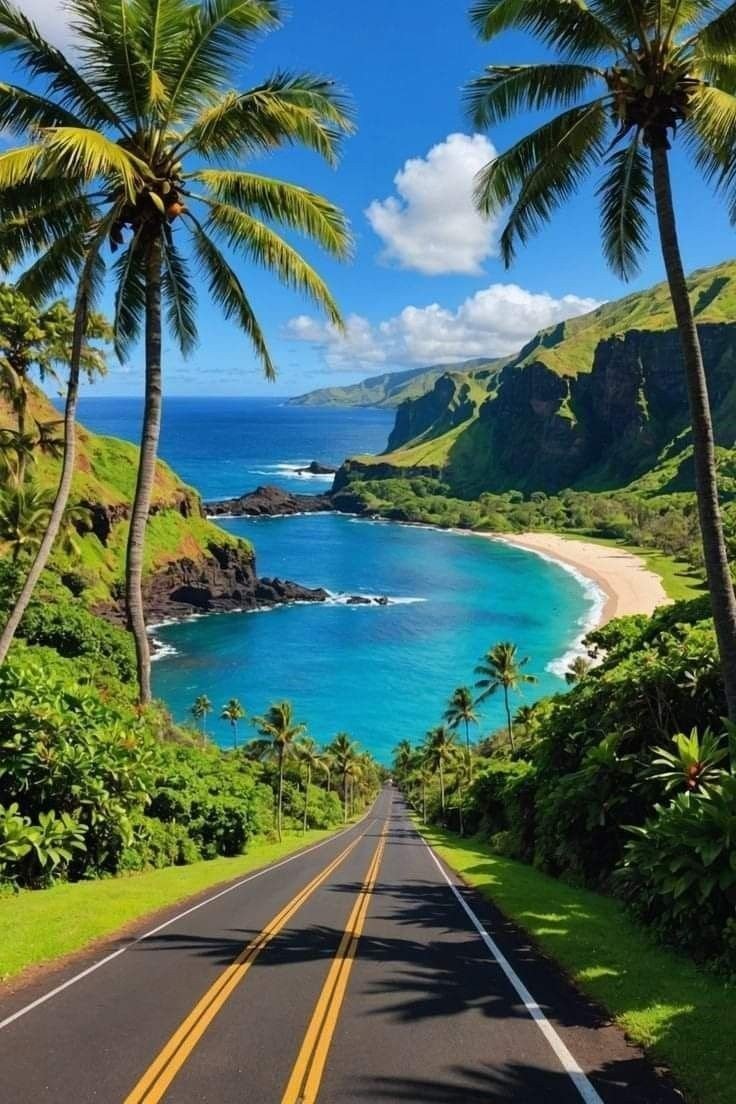 aestheticspost_'s tweet photo. Paradise. https://t.co/caWQdHpYbn