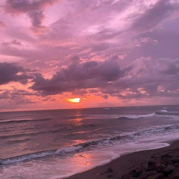 aestheticspost_'s tweet photo. Pink skies. https://t.co/WpLNz6FTWU