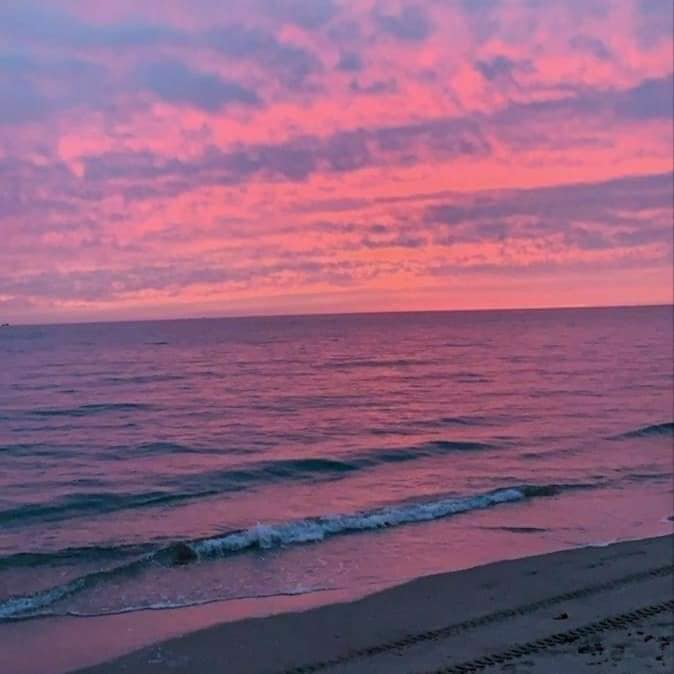 aestheticspost_'s tweet photo. Pink skies. https://t.co/WpLNz6FTWU