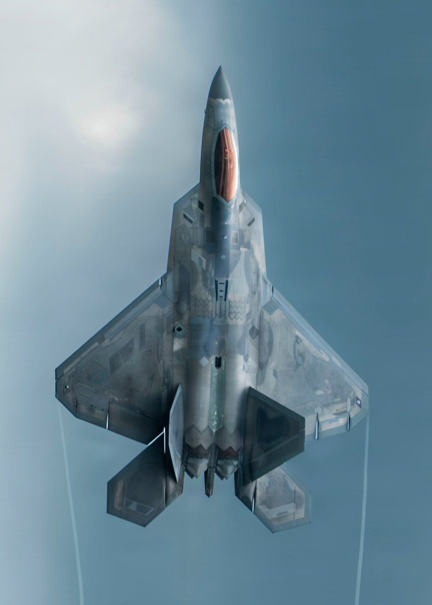 Remnantize's tweet photo. F-22 Raptor https://t.co/tEpimOrE3M