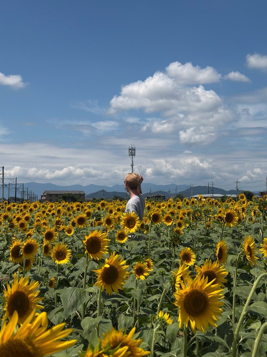 _a74gsh's tweet photo. 🌻 https://t.co/2y9H5va07O