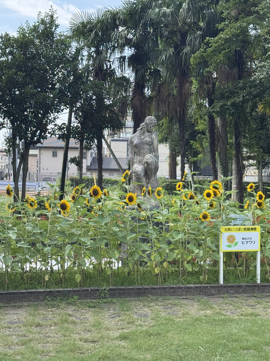 Miz_Mido's tweet photo. ピカチュウと一緒に朝のゆるポタ🚲
見沼田んぼのひまわり畑🌻と別所沼公園⛲️
#TREK #DOMANE #サイクリング
#ピカチュウ　#ゆるポタ https://t.co/NJemaq7PQf