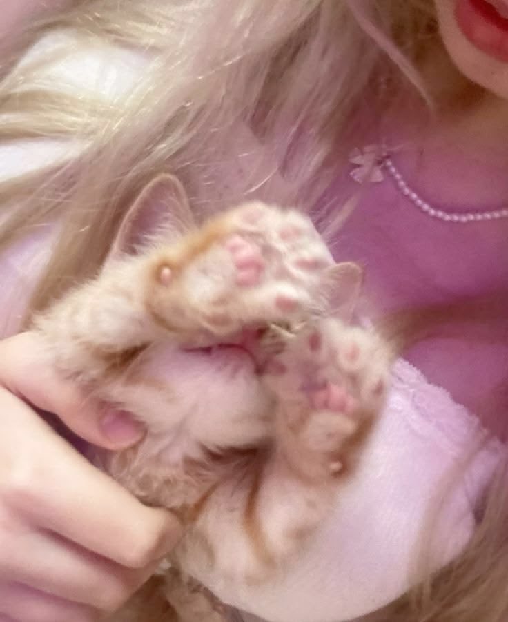 cuckmaster101's tweet photo. when she asks who sent her new hoe death threats but it wasn’t me cuz i’m literally just a kitty https://t.co/MfN6Kw0VJL