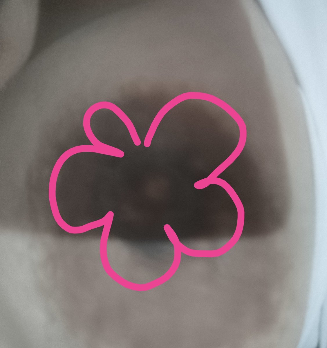 chewyto3s's tweet photo. Te gustan las flores? 😋 https://t.co/nHFMQUtr8Q