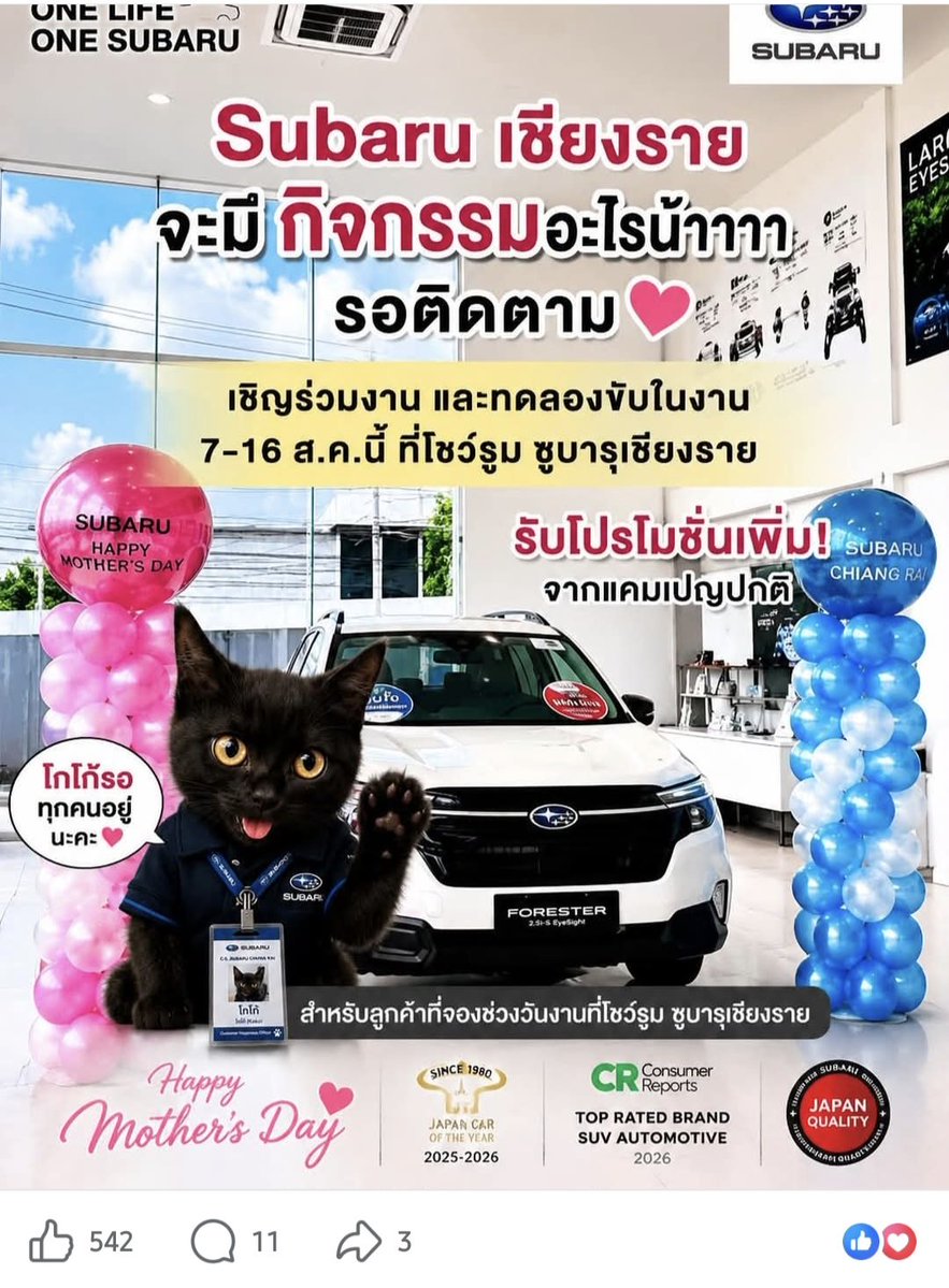 NunaxMx's tweet photo. เมื่อมีคนแซวเพจ Subaru Chiangrai ว่าภาพขายรถคนไลค์น้อยกว่าภาพที่มีโกโก้ หลังจากนั้นแอดมินใส่รูปโกโก้ทุกภาพ แมวดำเรียกทรัพย์ของแทร่ เอ้นดูววว 🤣🤣 https://t.co/JKcq9Oruku