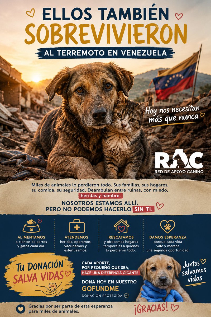 maibortpetit's tweet photo. 🚨🇻🇪 ELLOS TAMBIÉN SOBREVIVIERON AL TERREMOTO. AHORA NOS NECESITAN. 🐾

Entre los escombros y las comunidades devastadas de Venezuela quedaron perros y gatos que perdieron a sus familias, sus hogares y hasta a quienes les daban alimento cada día.

La RAC – Red de Apoyo Canino se trasladó a la zona del desastre y, en pocos días, logró atender a casi 2.000 animales: rescates, vacunas, curas, cirugías, traslados, alimentos y atención veterinaria.

Pero la emergencia continúa.

🐶🐱 Cientos de animales siguen esperando ayuda. Algunos deambulan entre las ruinas. Otros fueron recibidos por familias y hogares temporales que no cuentan con recursos suficientes para alimentarlos o pagar su atención veterinaria.

Por eso hoy quiero pedirles algo muy especial: ayudemos a la RAC a continuar esta enorme labor.

Se ha creado un GoFundMe con donación protegida para mantener el banco de alimentos, las jornadas veterinarias, esterilizaciones, rescates y hogares temporales destinados a los animales afectados por el terremoto.

❤️ No importa cuánto puedas donar. Cada aporte suma.

Y si en este momento no puedes contribuir económicamente, comparte esta campaña. Una publicación puede llegar hasta la persona capaz de salvar otra vida.

Venezuela está atravesando una tragedia enorme. Sus animales también son víctimas y no pueden pedir ayuda por sí mismos.

🐾 Juntos podemos salvar vidas.

👉 DONA Y COMPARTE EL GoFundMe: “Ayuda a los animales afectados por el terremoto en Venezuela”
https://t.co/93IeQvp4Na

#Venezuela #TerremotoVenezuela #AyudaVenezuela #AnimalesVenezuela #RedDeApoyoCanino #RAC #RescateAnimal #AyudaAnimal #Perros #Gatos #GoFundMe #LaGuaira #JuntosSalvamosVidas