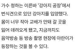 ou_wol's tweet photo. 궁금해서 찾아보니 번식장에서 구조한 아이래.. 이후로도 유기견이나 번식장 관련 문제에 관심이 많아서 활동도 많이 한듯혀... 따숩다... https://t.co/FZGjA9RGAR